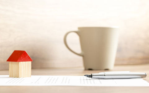 HomeLight Consumer Allocation and Antitrust