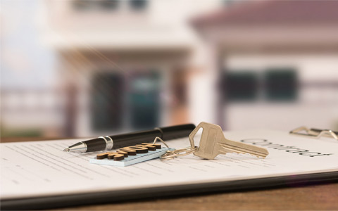 Tomo (hellotomo.com) Price Fixing and Antitrust